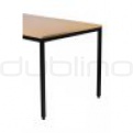 MX CONFERENCE TABLE 2 #2