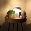 OS MUSHROOM #3