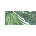 DL SHAPE BOTANICAL #6